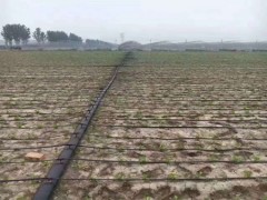 玉门迷宫滴灌带-宁夏划算的迷宫滴灌带—润泽源节水灌溉科技供应