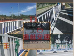 广西城市道路护栏-选实惠的城市护栏，就到博桂