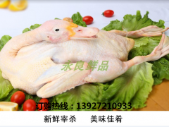 供应广西贺州新鲜冻品鸭生产厂家批发报价
