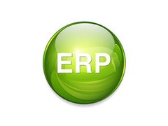 ERP管理系统,集成化管理信息系统开发