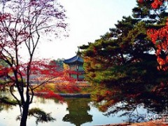 朝阳韩语培训-沈阳玛雅教育提供信誉好的韩语培训