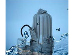 蓝深污水泵电子样本,蓝深WQ40-10-2,2