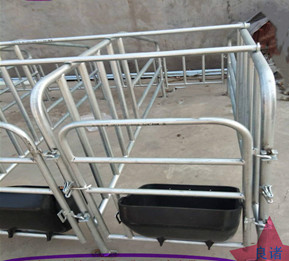 养猪场母猪妊娠初期落地式栏热镀锌大架钢板食槽