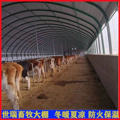 养殖牛棚建设 养牛场牛舍大棚搭建 黄牛养殖大棚施工建造