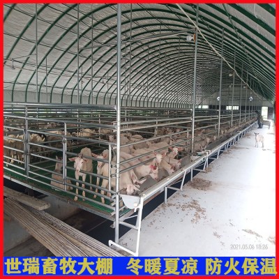 保温养羊大棚搭建 肉羊养殖棚建设 羊舍大棚施工标准